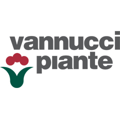 Vannucci Piante